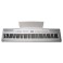 ECHORD SP10 White