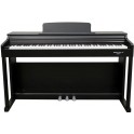 ECHORD DPX100 B