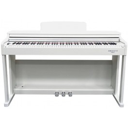 ECHORD DPX100 White