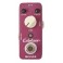 MOOER Echolizer