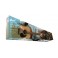 CORT CAP810 OP Trailblazer Pack