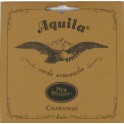 AQUILA Charango 1CH