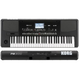 KORG PA300