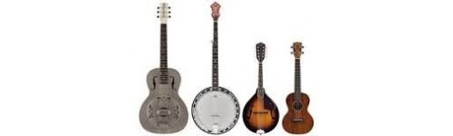 Altri Strumenti a Corda