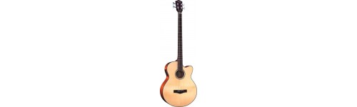 Bassi Acustici