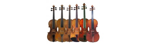 Violini e Viole