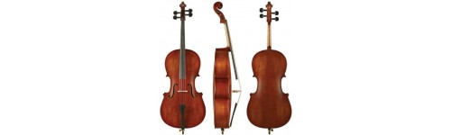 Violoncelli